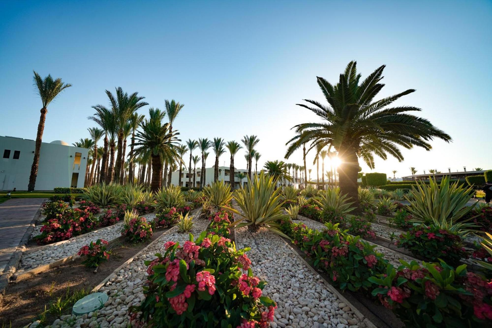 Sentido Reef Oasis Aqua Park Resort Sharm el Sheikh Esterno foto The campus of the University of Patras