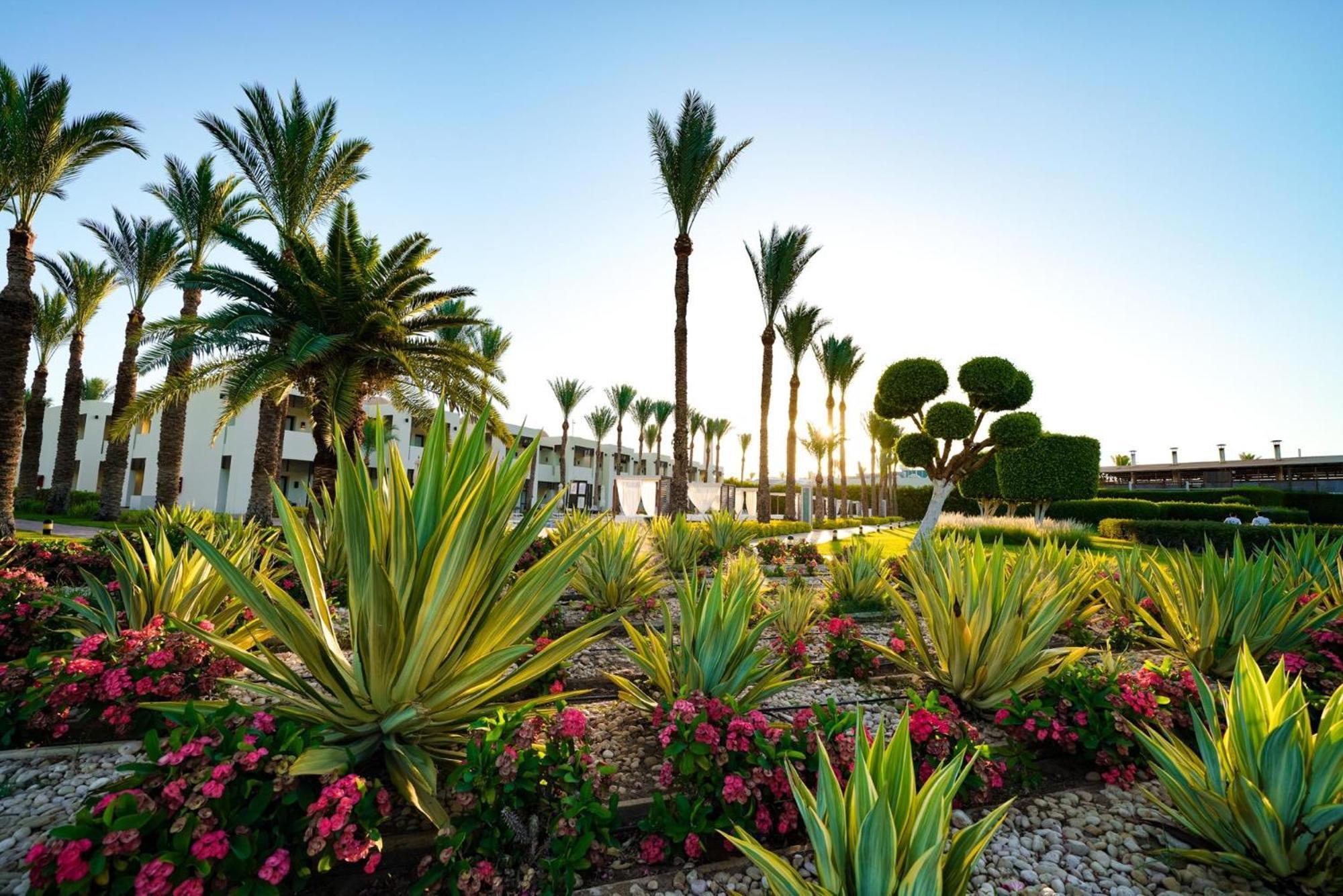 Sentido Reef Oasis Aqua Park Resort Sharm el Sheikh Esterno foto The grounds of the resort